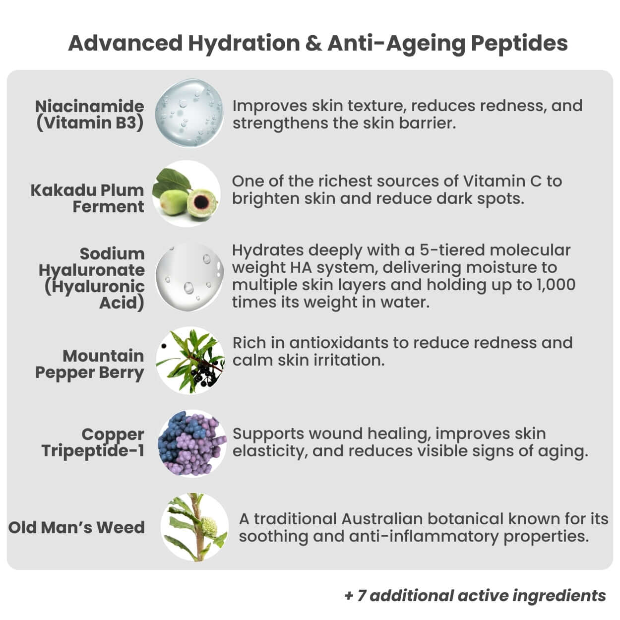 Mr WULF ultra hydrating face serum for men ingredient breakdown graphic showing hyaluronic acid and postbiotic actives.