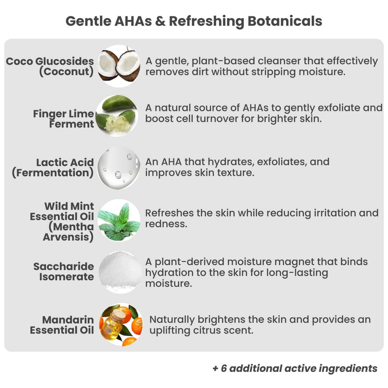 Zest Daily Cleanser benefits and natural ingredient chart