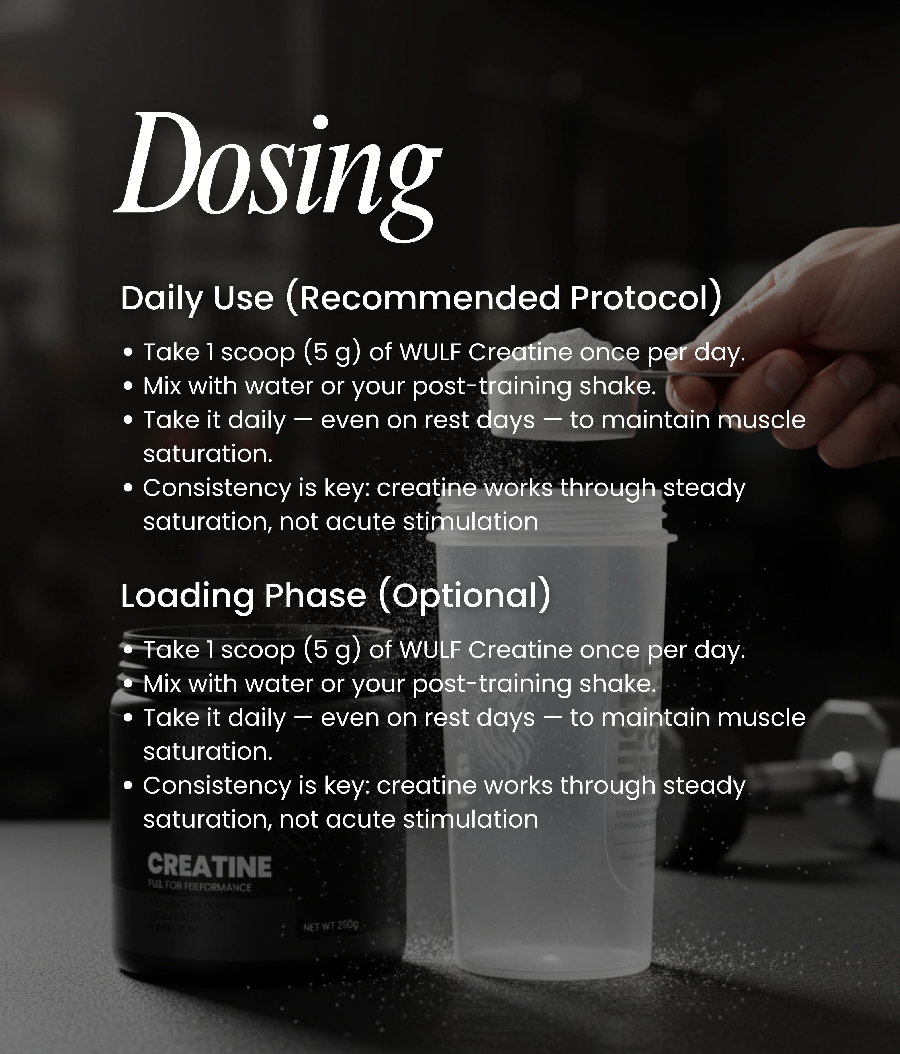 Dosing instructions for WULF Creatine Micronised Creatine Monohydrate with scoop and shaker.
