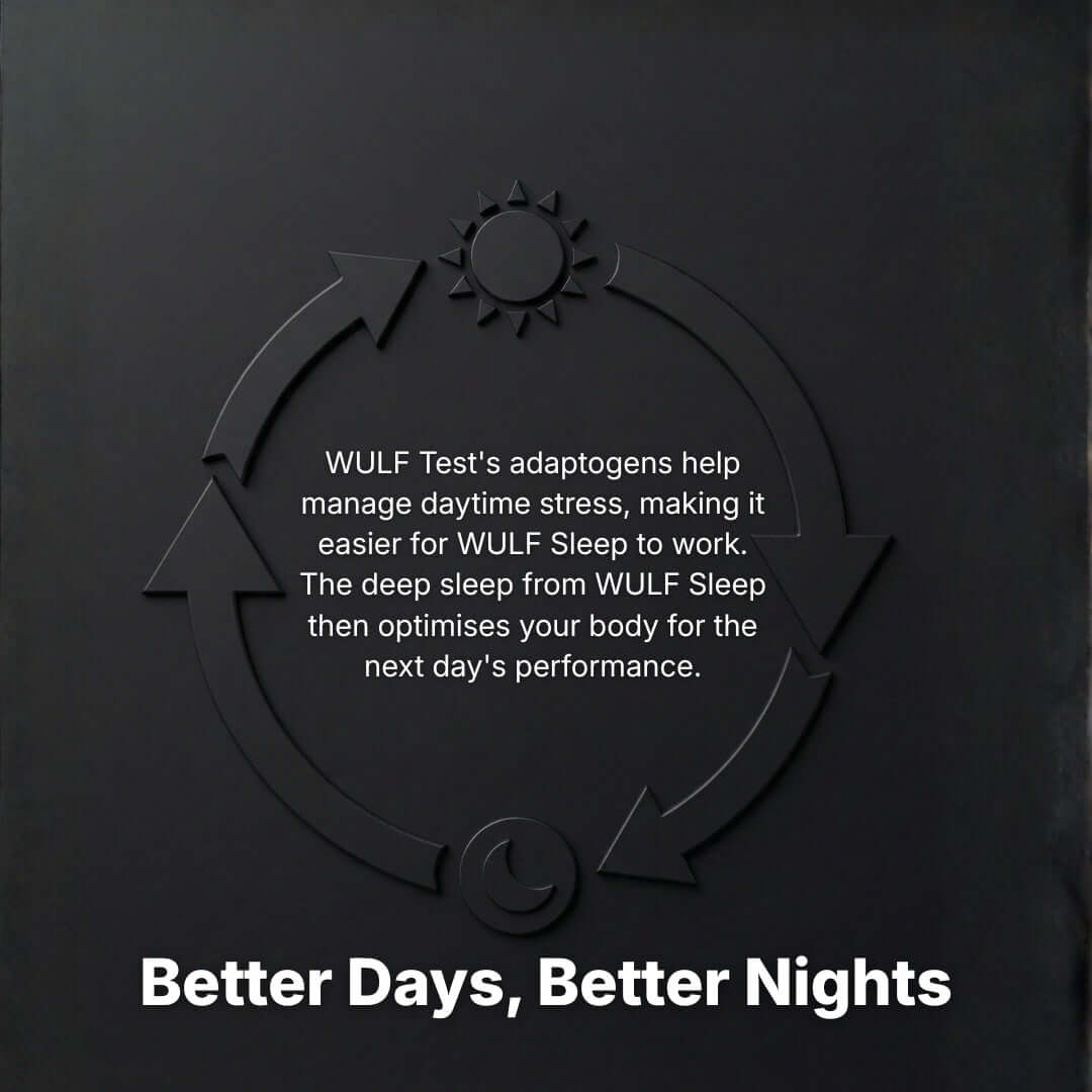 The Performance Stack for Men promotes better days and nights with WULF Test and WULF Sleep for optimal performance.