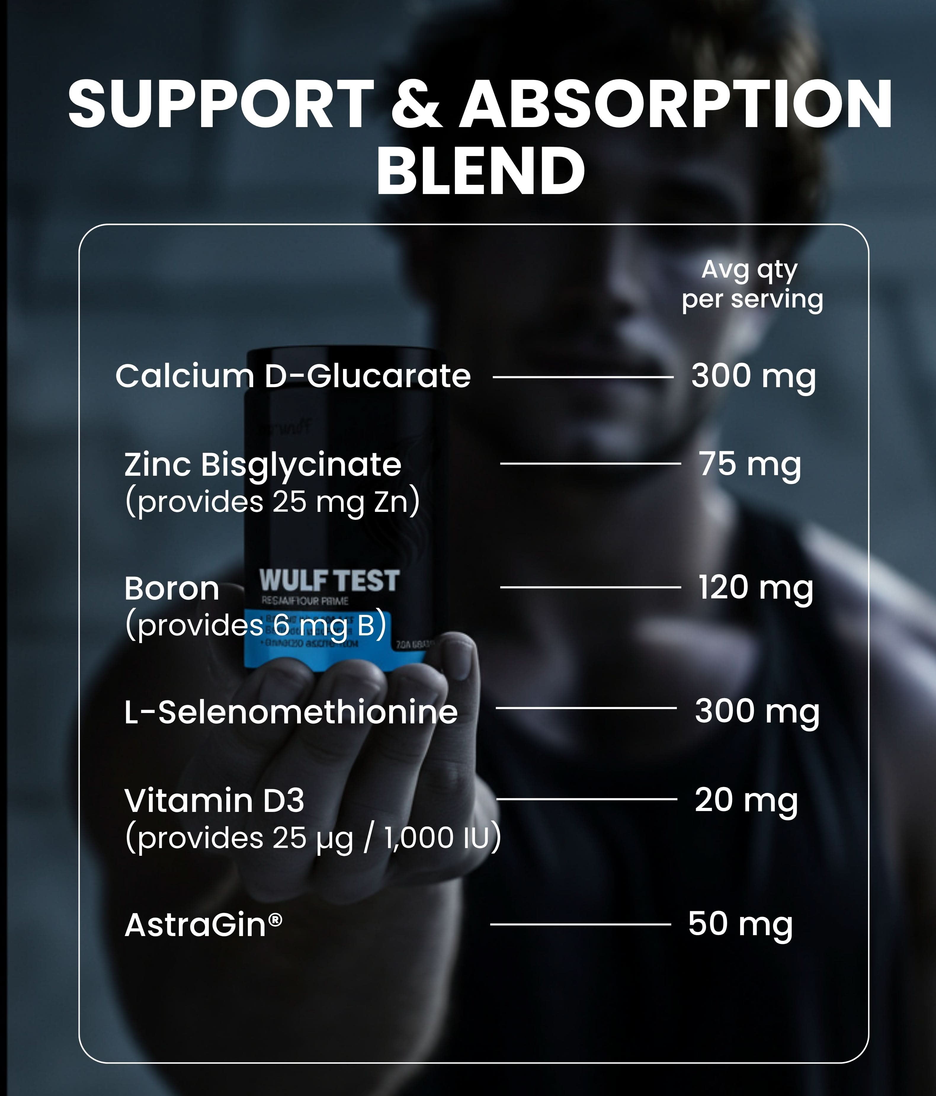 WULF Test testosterone supplement support and absorption blend ingredients chart with dosage information.