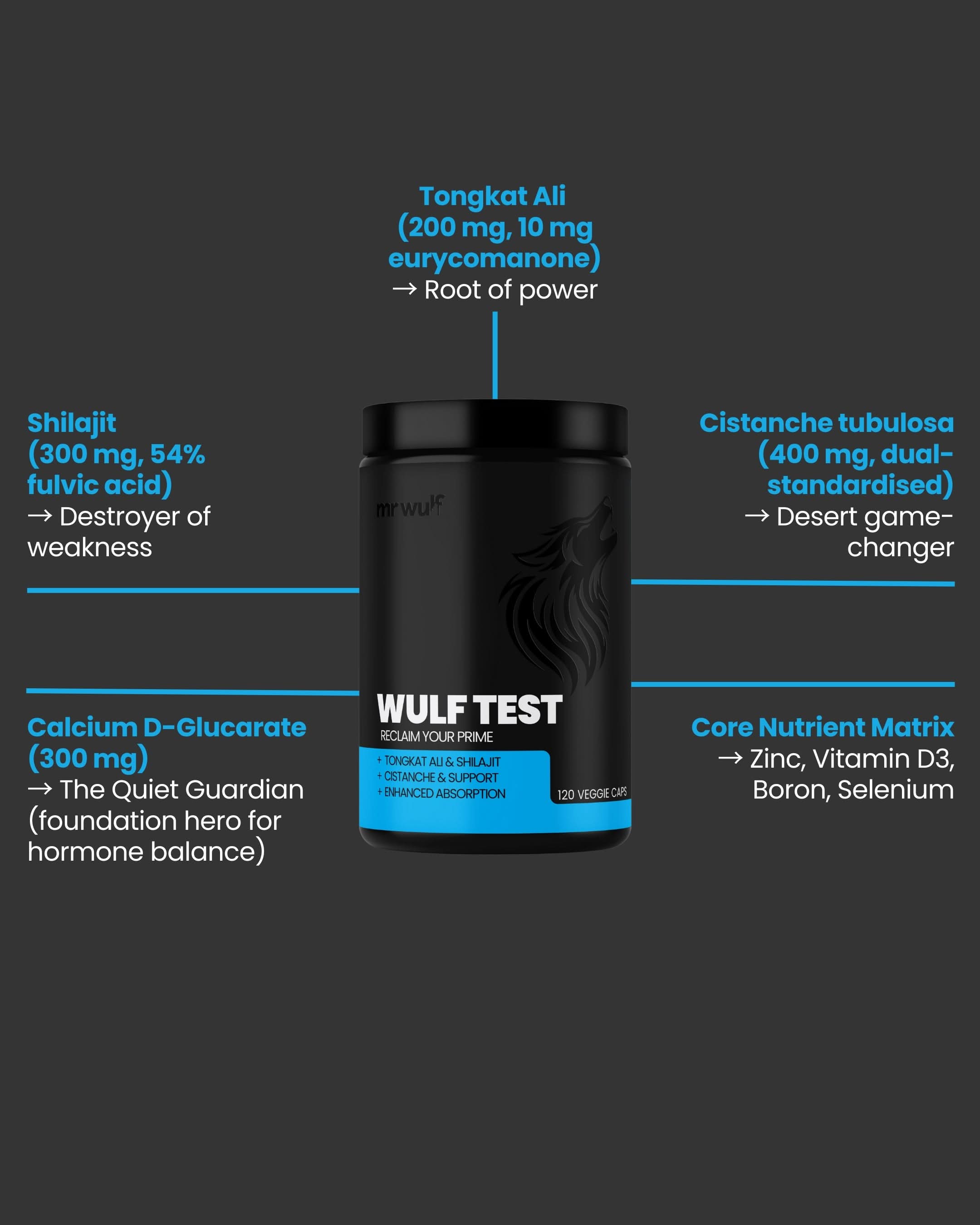 WULF Test testosterone supplement ingredients including Tongkat Ali, Shilajit, and Core Nutrient Matrix.