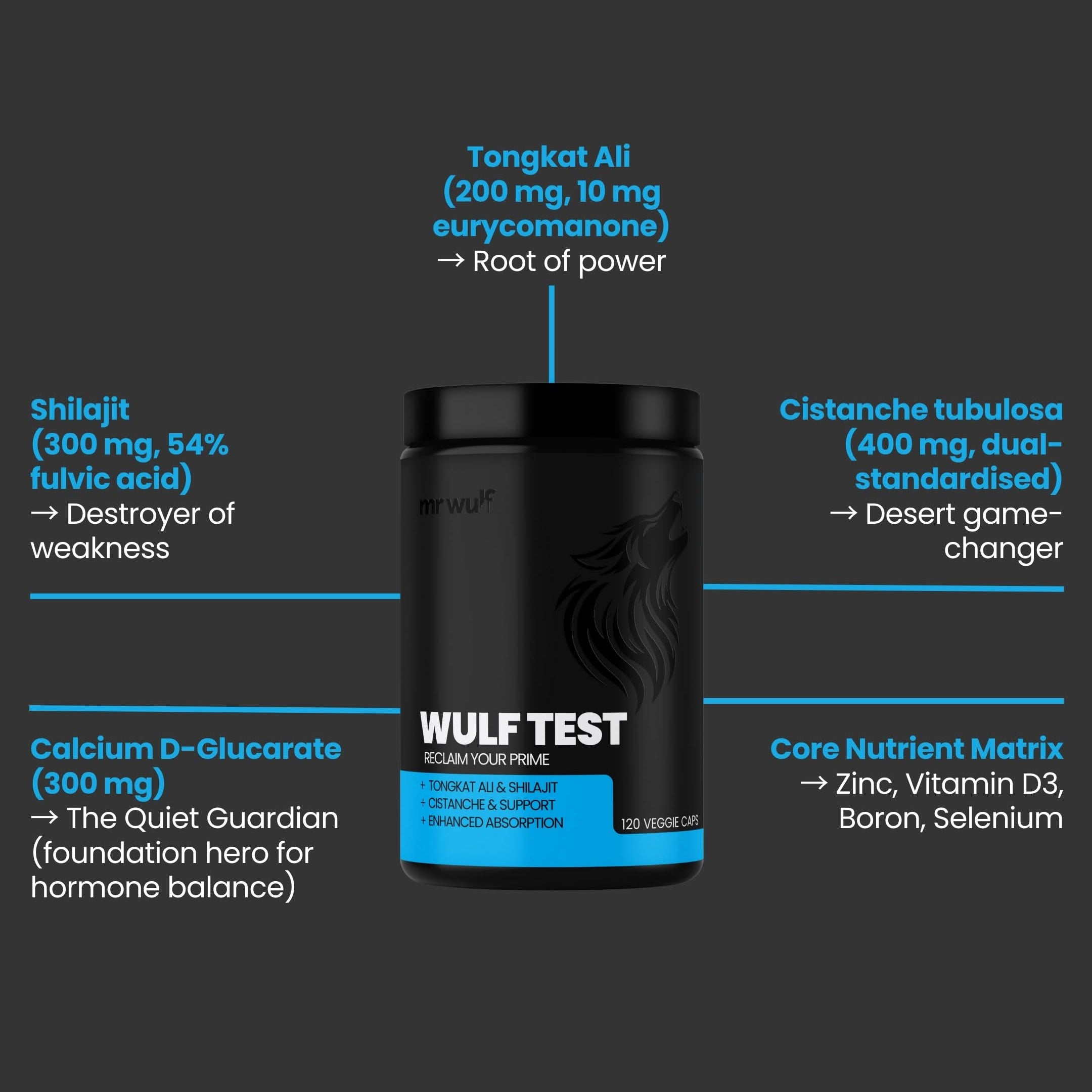 WULF Test Daily Support for Drive Strength & Resilience supplement ingredients and benefits overview image