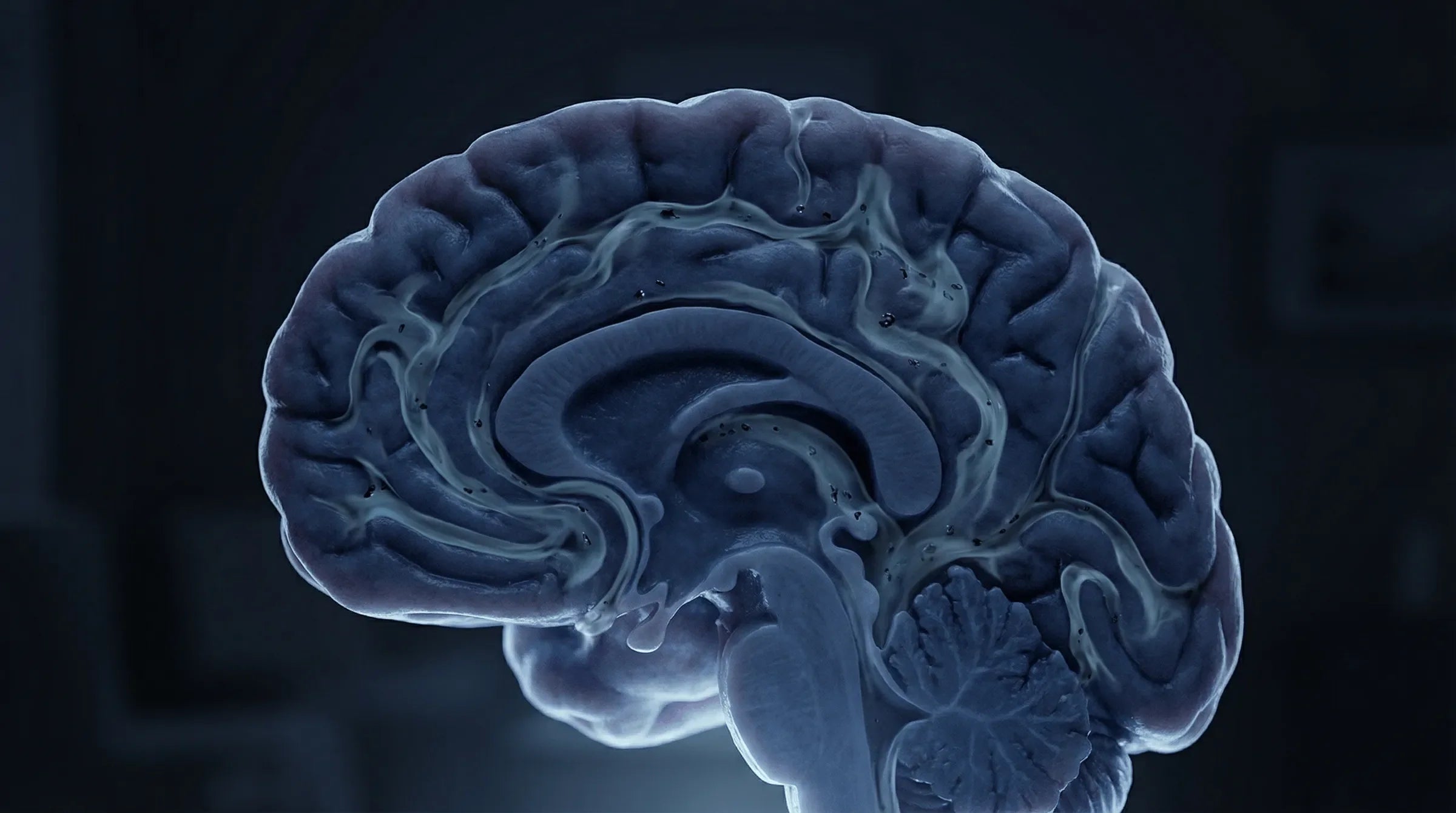Sleep and Brain Detox: How Deep Sleep Protects Ageing Men