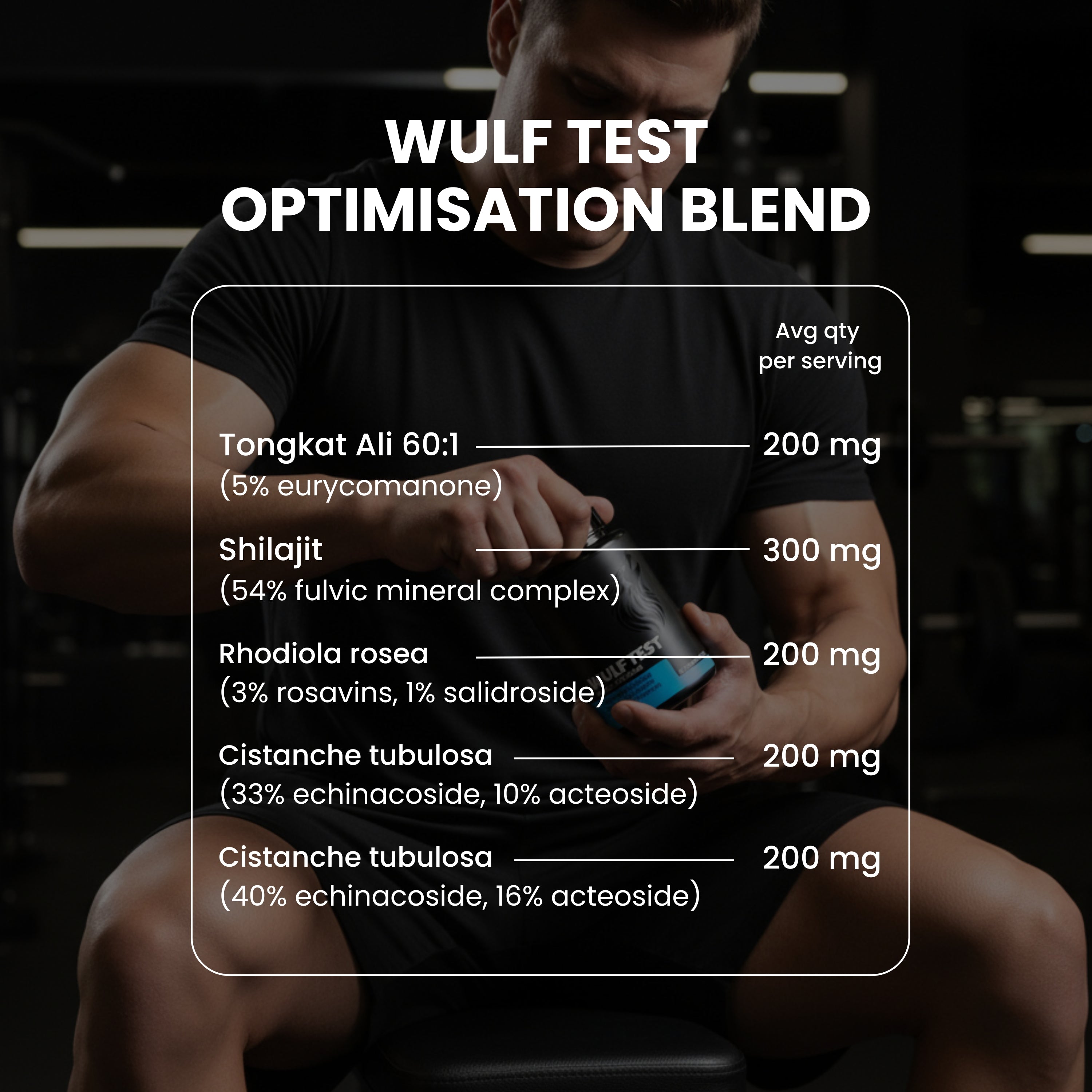 WULF Test Testosterone Supplement | Reclaim Your Edge