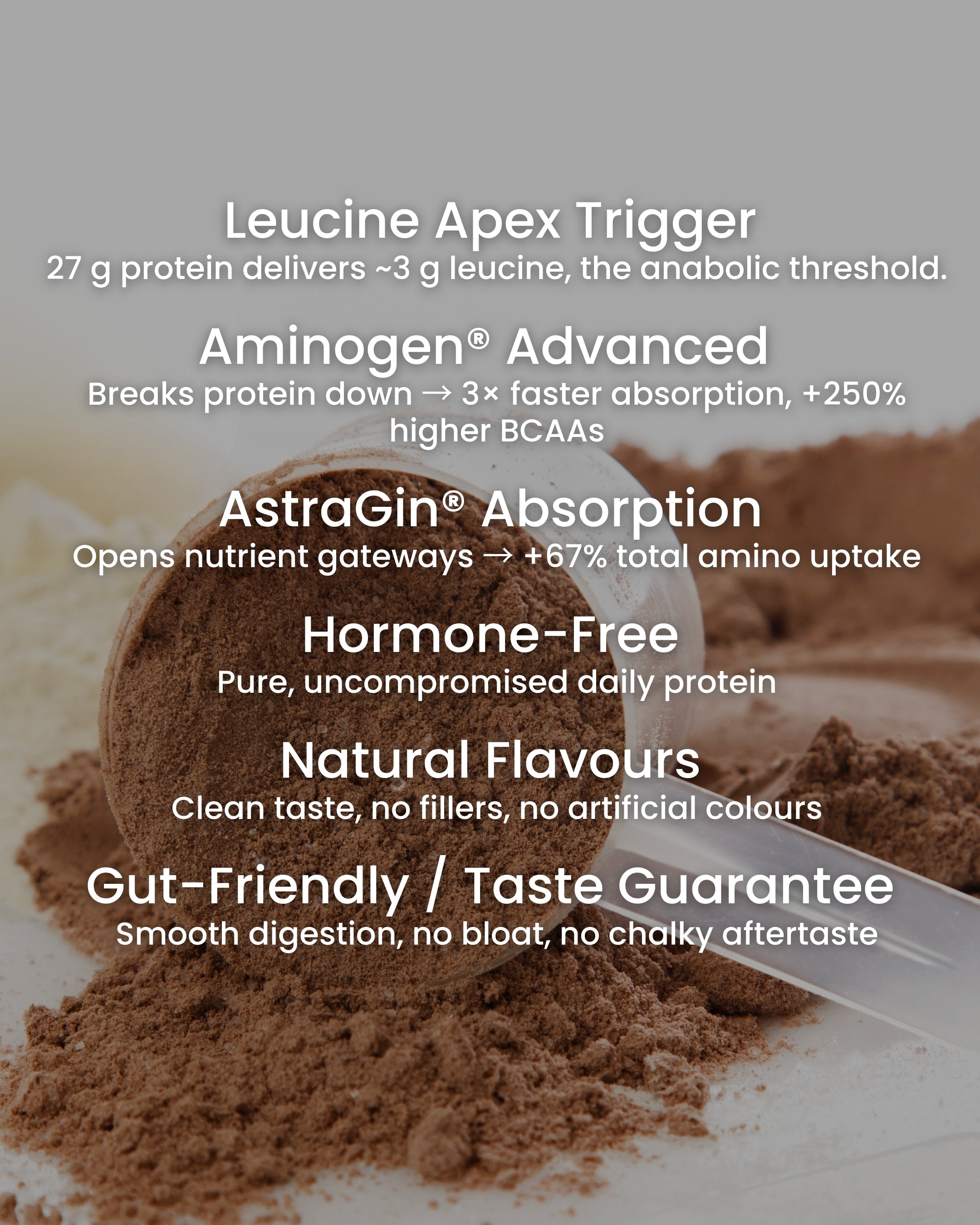 WPI Elite protein supplement features Leucine Apex Trigger, Aminogen Adanced, and Gut-Friendly qualities