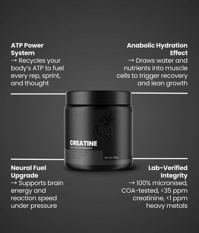 WULF Creatine Micronised Creatine Monohydrate product container featuring performance enhancement benefits.
