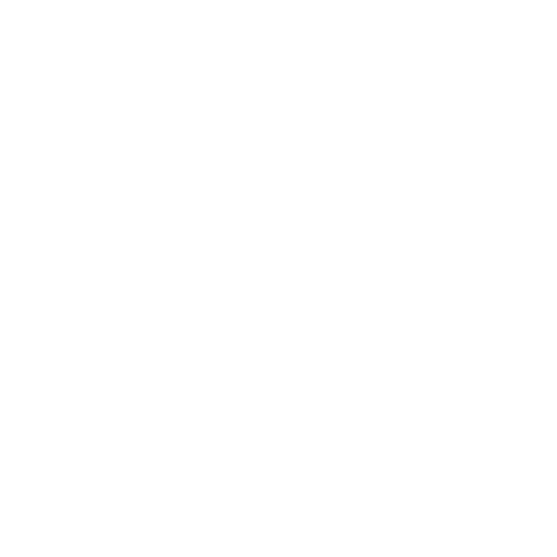 Delivery Icon