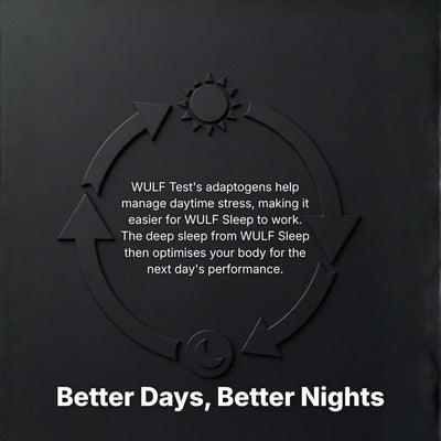 The Performance Stack for Men promotes better days and nights with WULF Test and WULF Sleep for optimal performance.