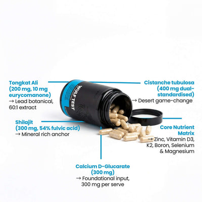 WULF Test Daily Botanicals and Key Nutrients for Men