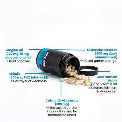 WULF Test Daily Support for Drive Strength & Resilience supplement bottle with capsules and key ingredients highlighted.