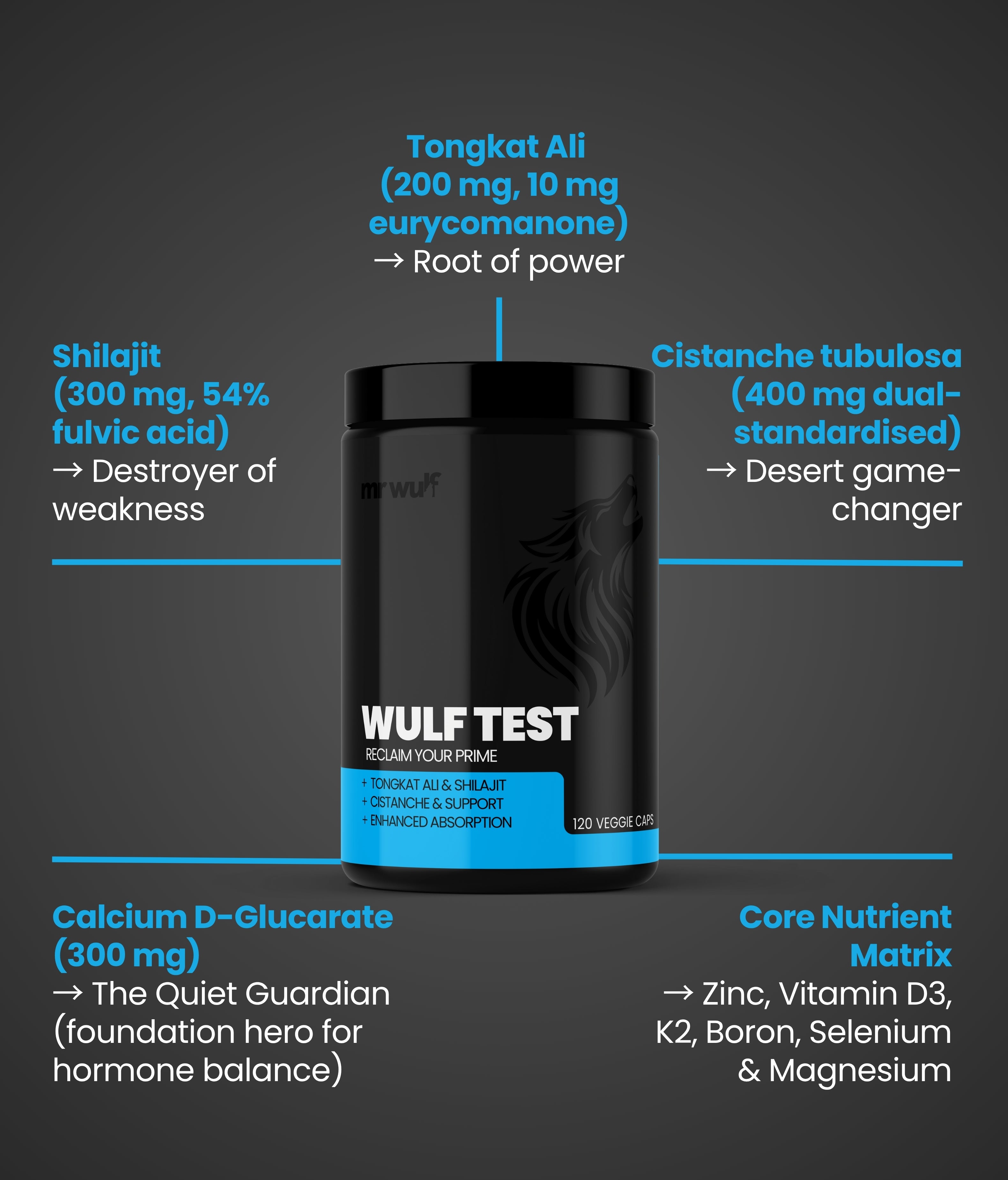 WULF Test & FREE Primal | Reclaim Your Edge